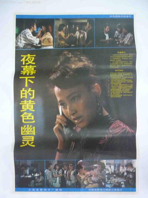 假护照伊朗人